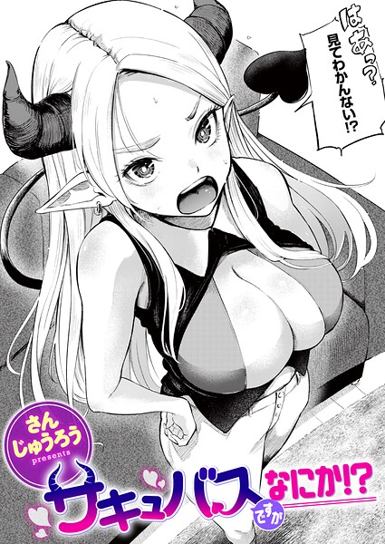 サキュバスですがなにか！？ hitomi